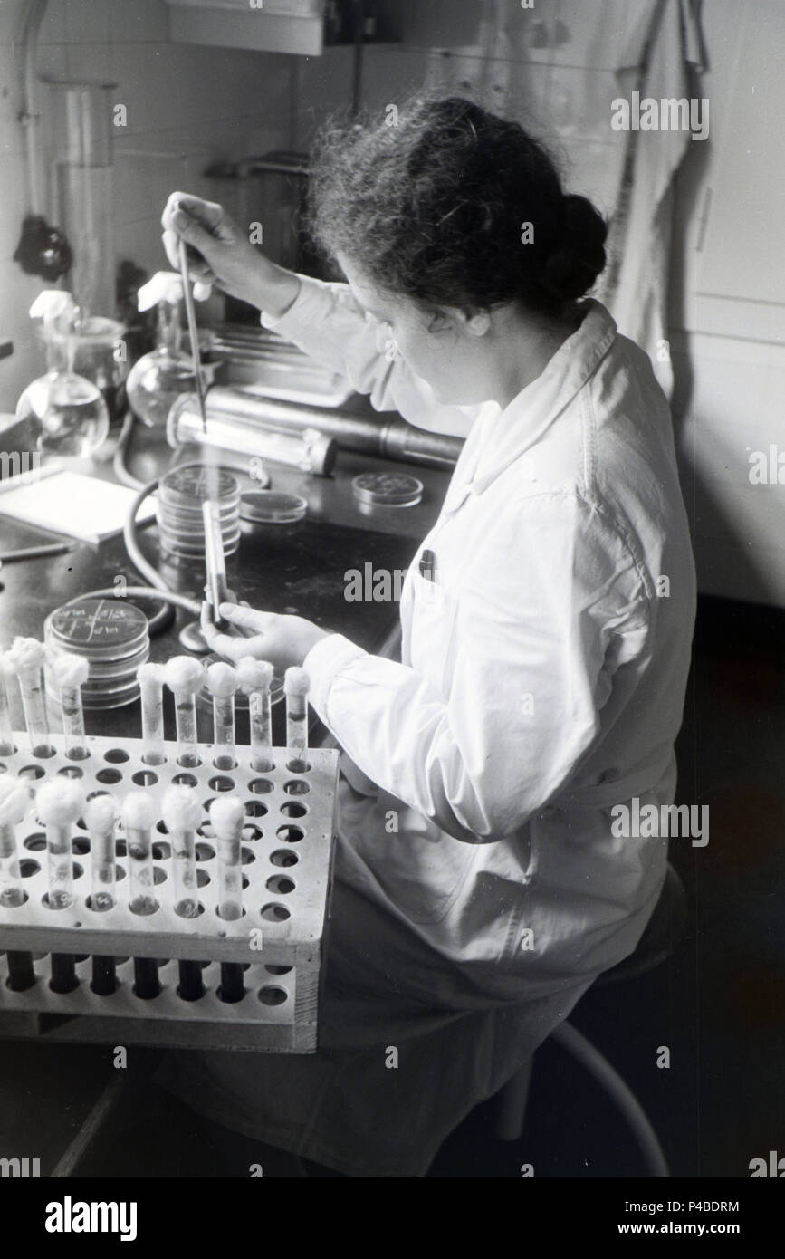 Eine Lab Assistant Prüfung der Mikroorganismen, die in einer Petrischale im Labor der Behringwerke, Marburg, Deutschland 1930. Stockfoto