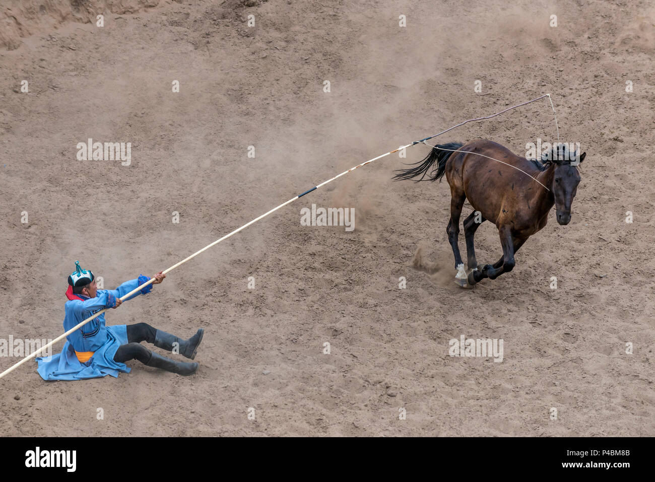 Reiter in der traditionellen Tracht gekleidet, hält das Seil & Pol urga oder Lasso, während Herding Pferde, Xilinhot, der Inneren Mongolei, China Stockfoto