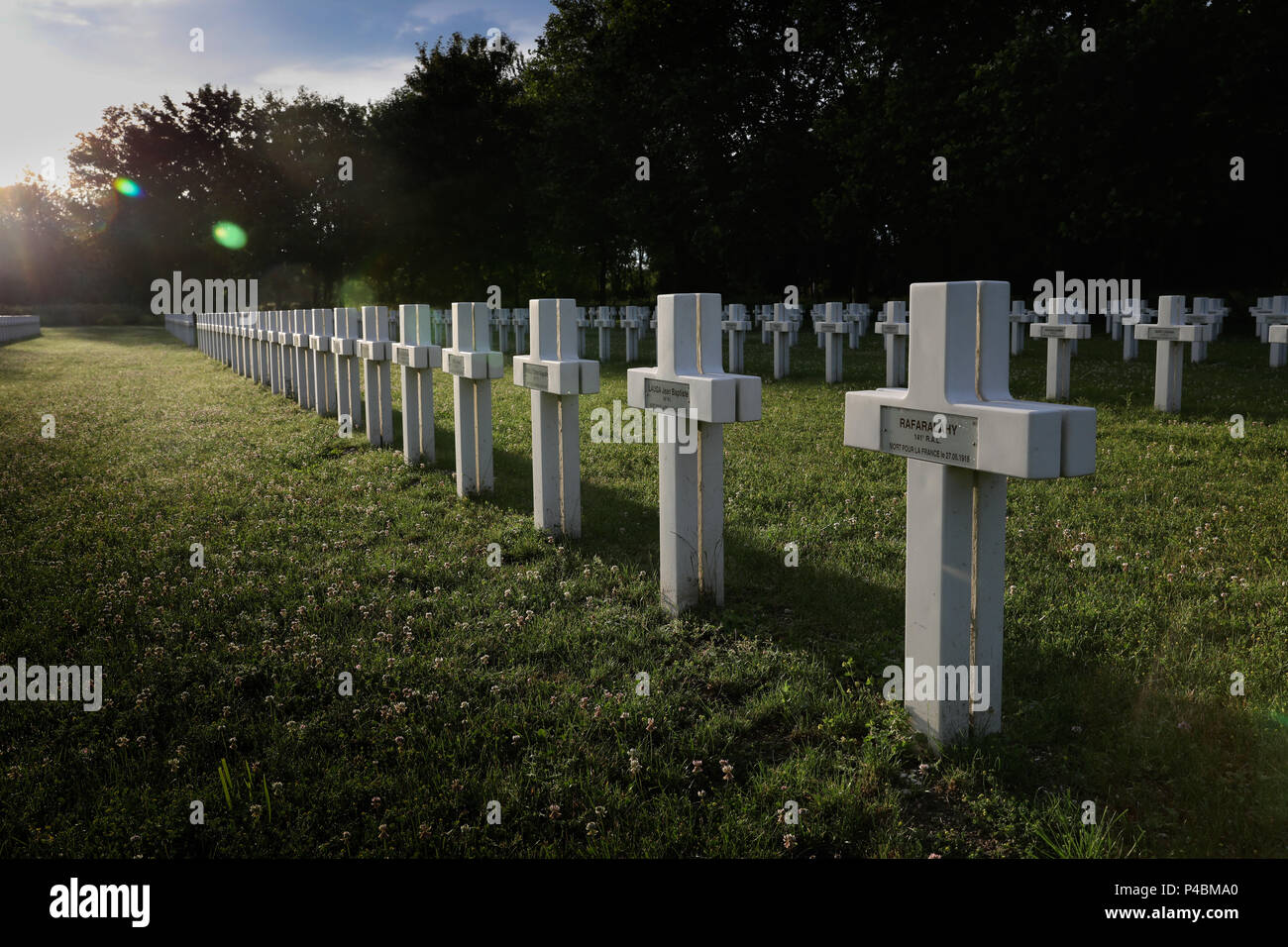 Reihen von Rücken an Rücken doppelte Kreuze in der französischen Nationalen Friedhof (La Nécropole nationale), Jonchery-Sur-Suippe, Champagne, Frankreich. Stockfoto