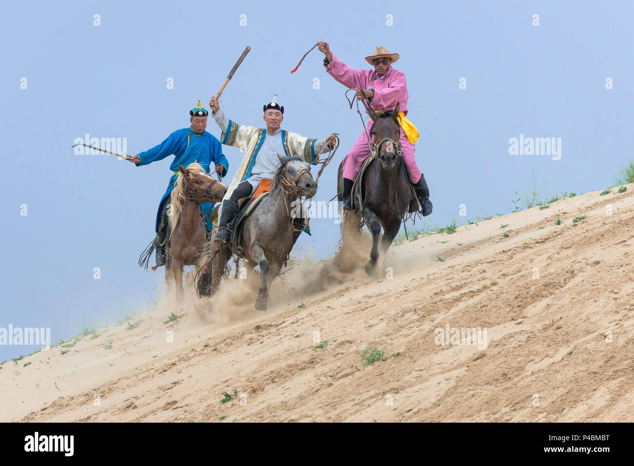 Reiter gekleidet mit Seil und Pole Urga, während Herding Kamele entlang Sanddünen, Xilinhot, der Inneren Mongolei, China Stockfoto
