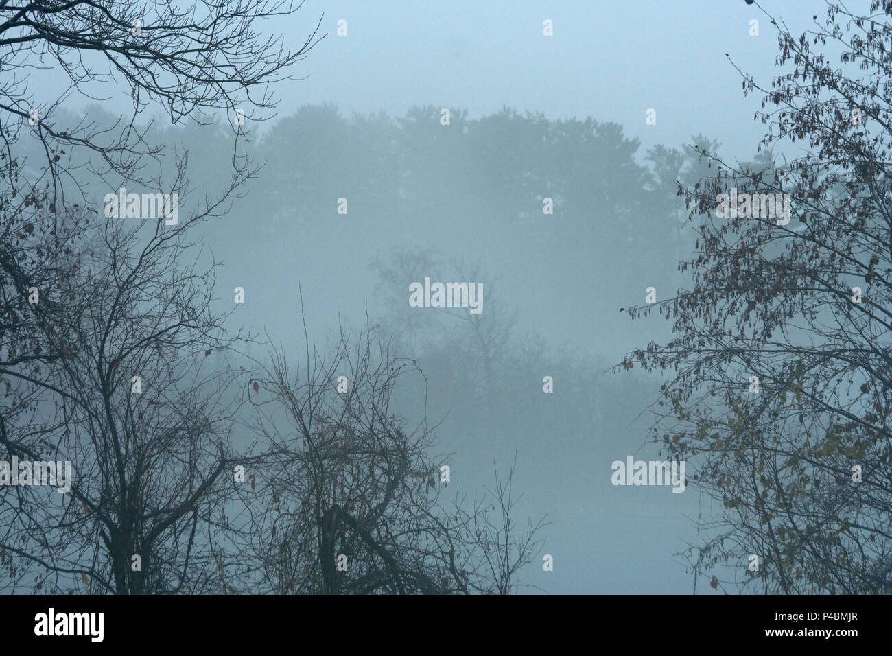 Ruhiger Misty Lake am frühen Morgen Stockfoto