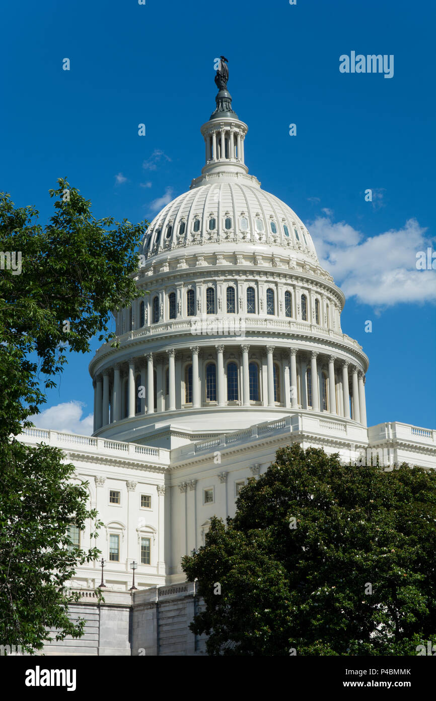 United States Capitol Gebäude an einem schönen Sommertag, Washington, DC, USA Stockfoto