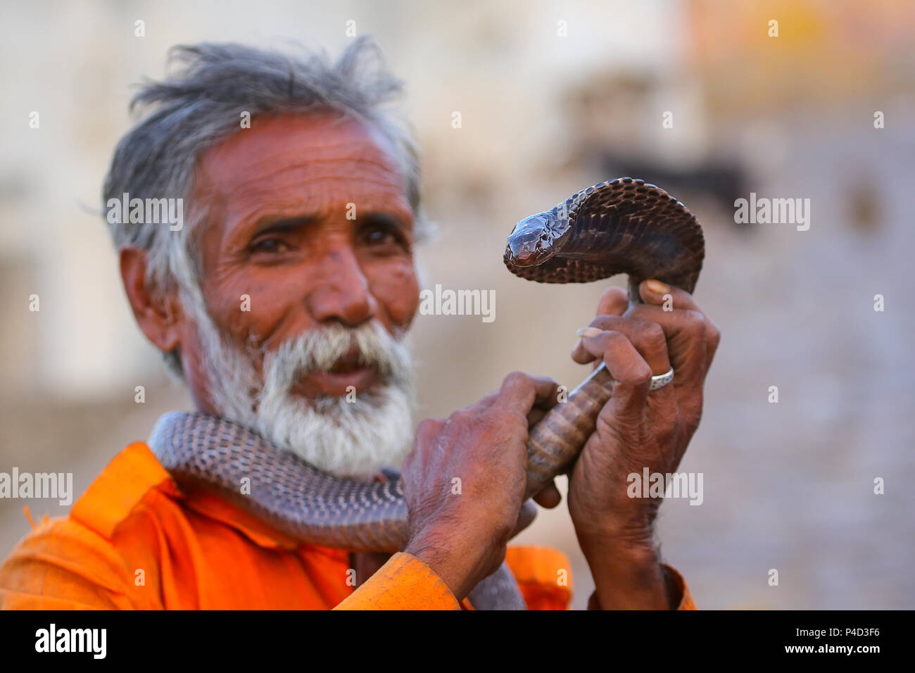 Lokalen Schlangenbeschwörer halten indische Cobra in der Straße von Jaipur, Indien. Jaipur ist die Hauptstadt und größte Stadt im indischen Bundesstaat Rajasthan. Stockfoto