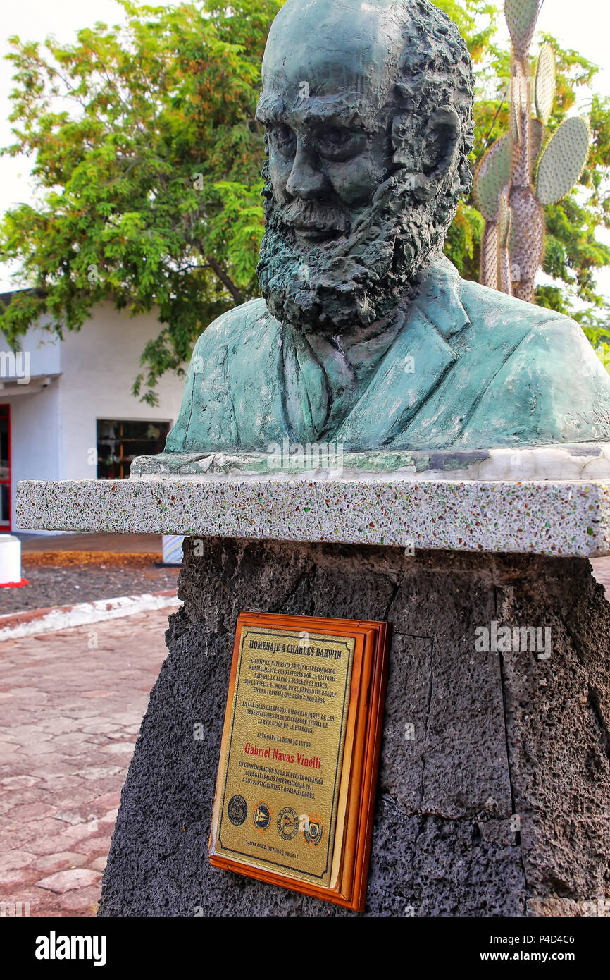 Büste von Charles Darwin auf Galapagos Nationalpark Hauptquartier auf der Insel Santa Cruz, Ecuador. Darwin war ein englischer Naturforscher und Geologe. Stockfoto