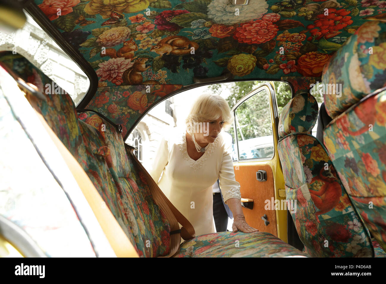 Die Herzogin von Cornwall blickt in ein gelbes Hindustan-Ambassador-Auto namens „Sundari the Beautiful“, bevor sie den Concours d'Elephant, eine Kavalkade traditioneller indischer Fahrzeuge der Elephant Family Charity, im Oriental Club im Zentrum von London offiziell einführt. Stockfoto