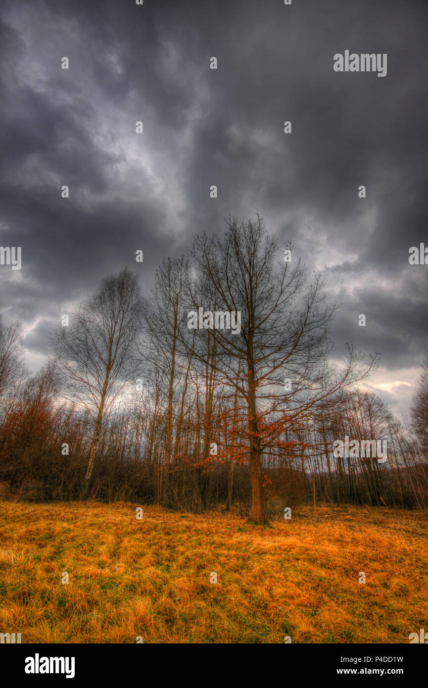 Wiese und Wald unter dramatischen Himmel am frühen Frühling. HDR-Bild. Polen, das Heilige Kreuz Berge. Stockfoto
