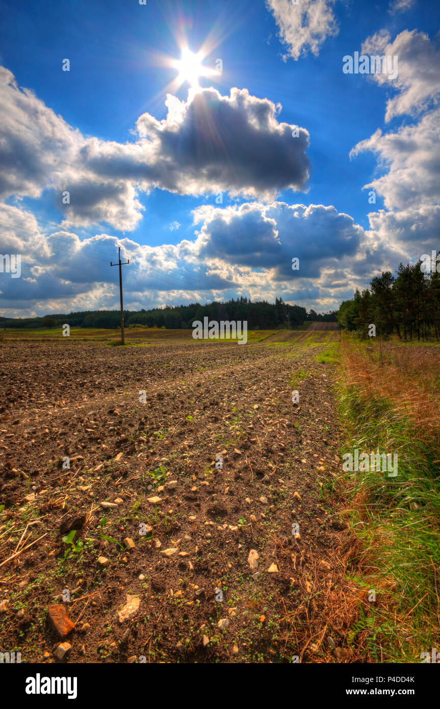 Gepflügte steinigen Feld am Ende Sommer. HDR-Bild. Polen, das Heilige Kreuz Berge. Stockfoto
