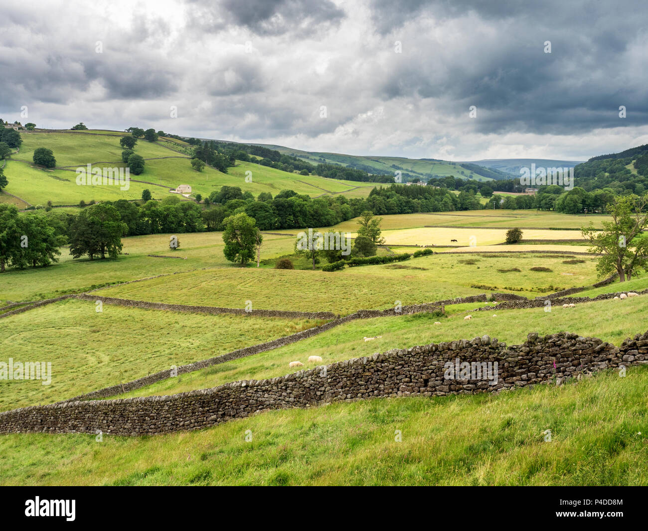 Blick über die NIDDERDALE AONB von wath Road in der Nähe von Pateley Bridge North Yorkshire England Stockfoto