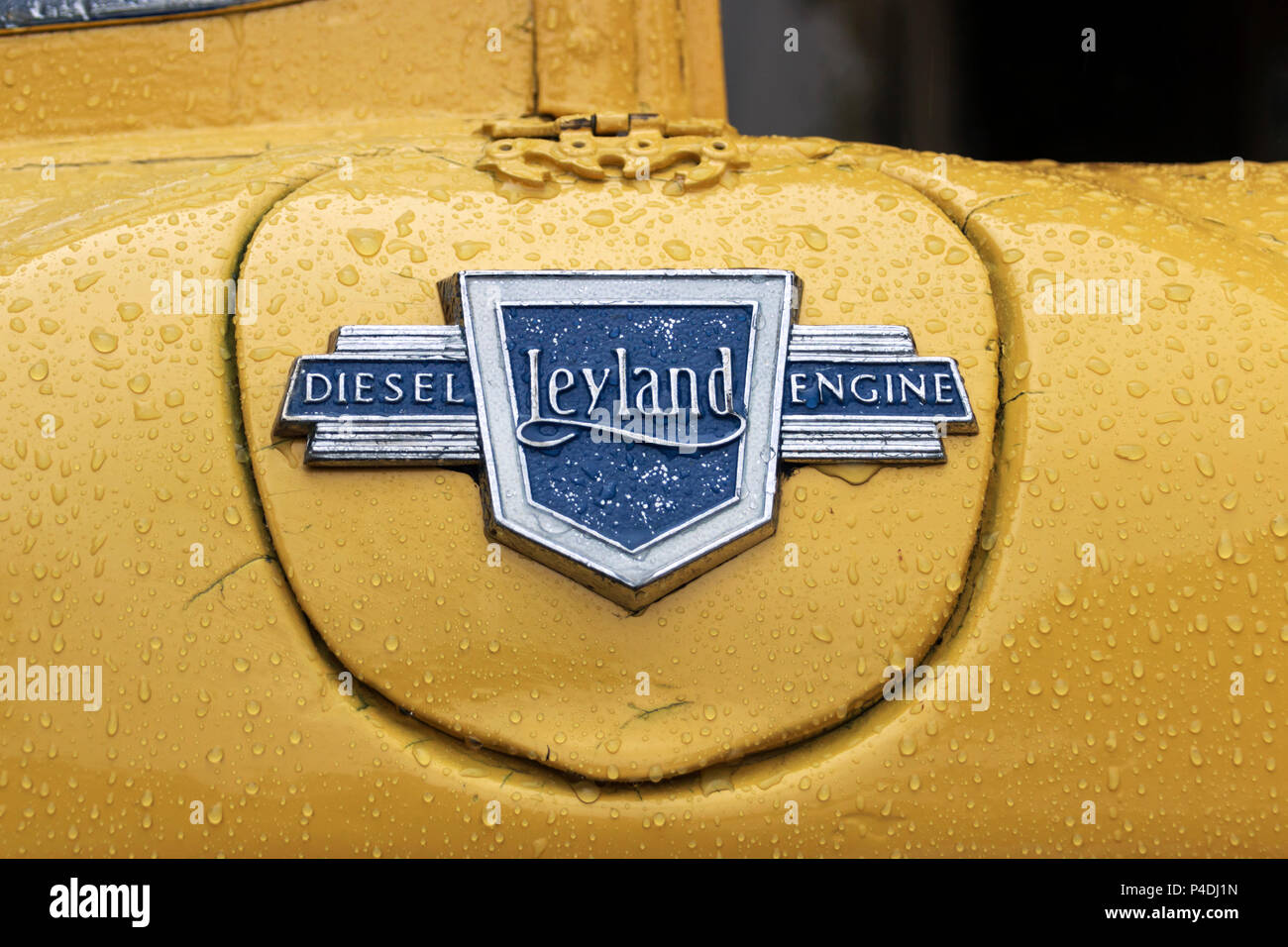 Leyland PD2 Titan Stockfoto