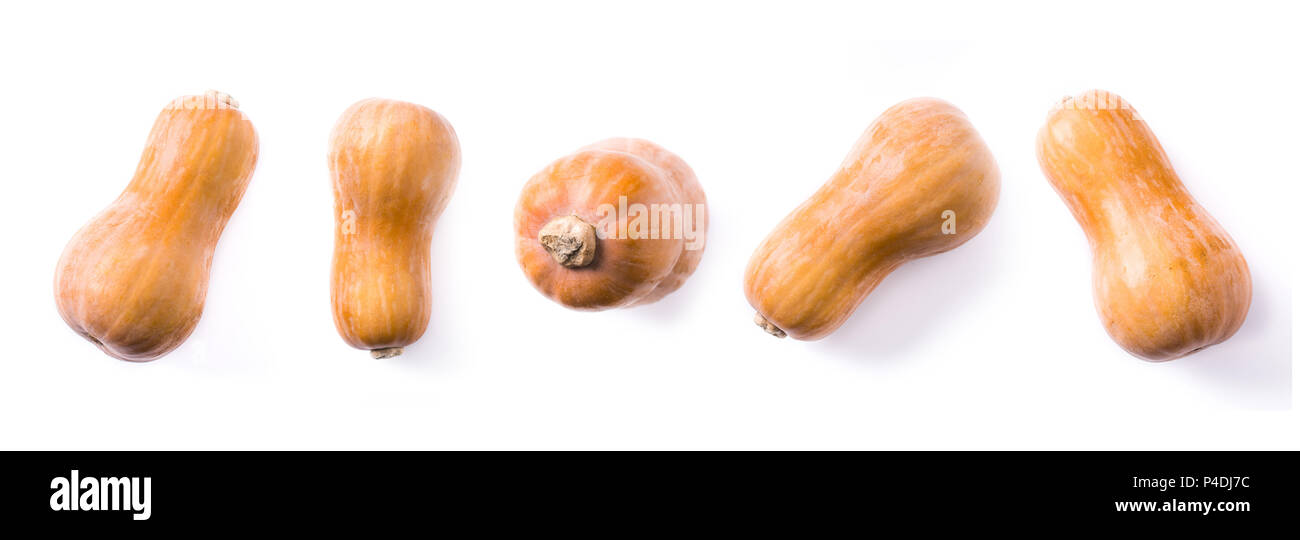 Kürbis aus verschiedenen Ansichten. Panorama Ansicht Stockfoto