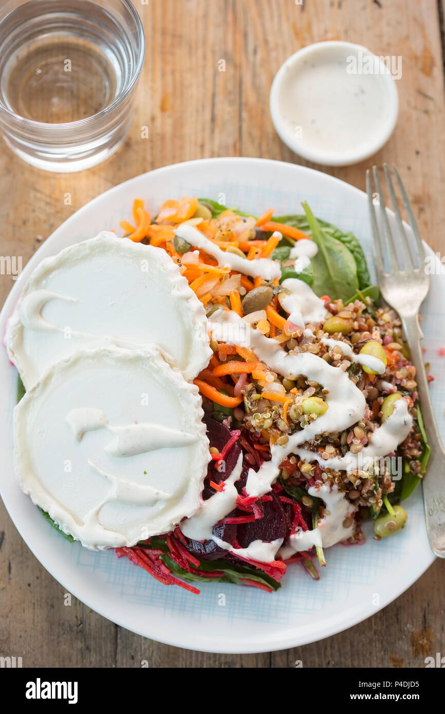 Ziegen Käse, Rote Beete, Vollkorn, Quinoa und edamame, Karotte und Kürbiskernen Salat mit Joghurt Dressing Stockfoto