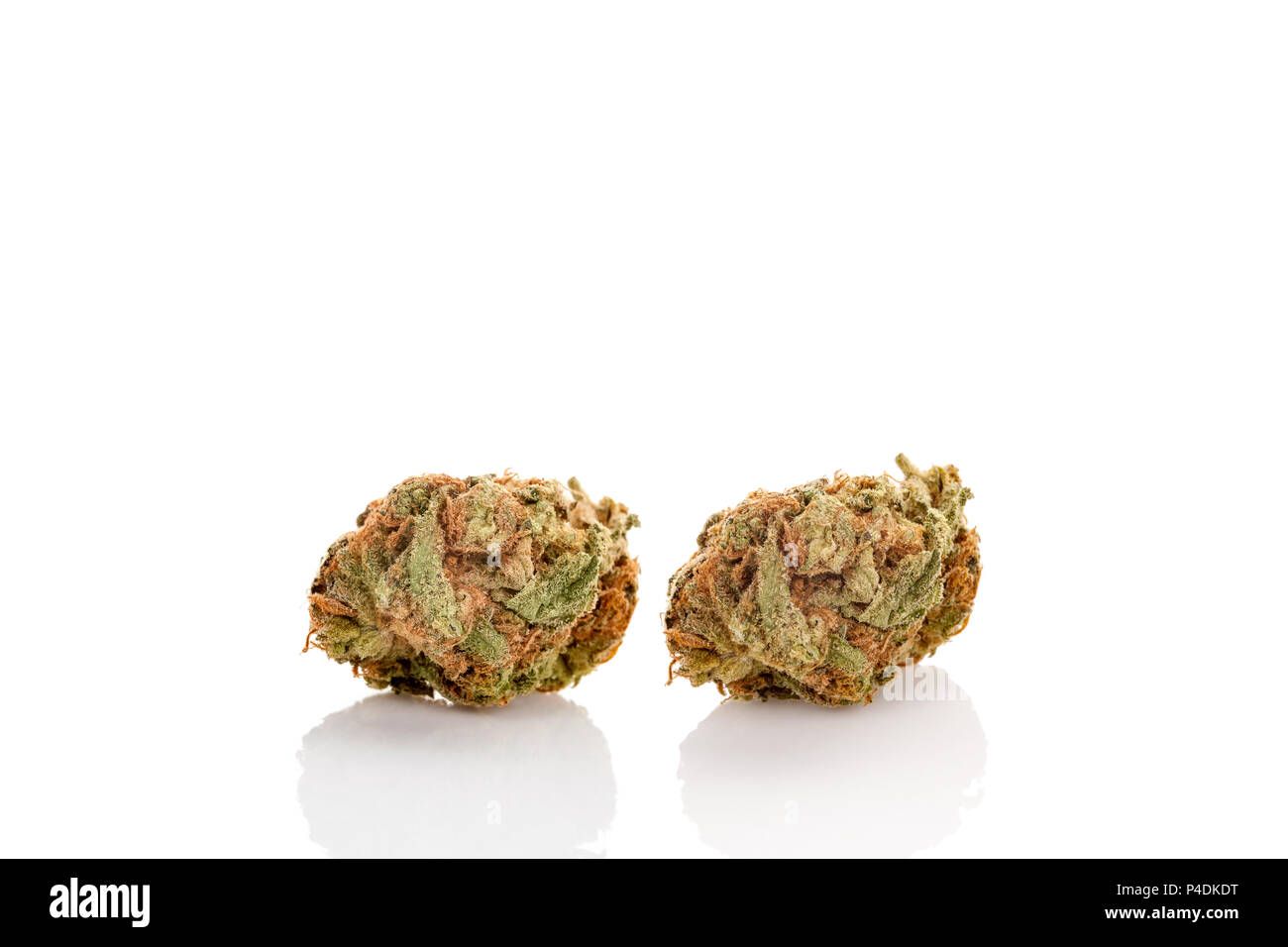 Zwei Marihuana Knospen auf weißem Hintergrund. Stockfoto
