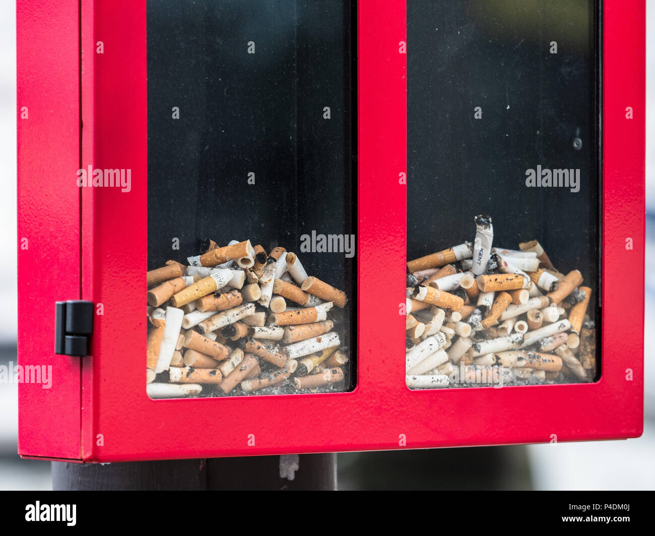 Weggeworfene Zigarettenkippen in einem durchsichtigen Pflaster bin Stockfoto