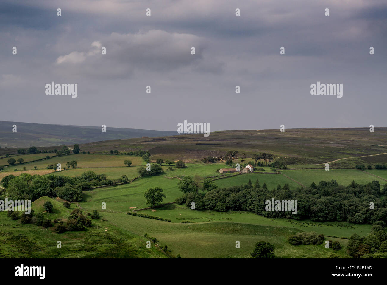 North Yorkshire Moors. North East England. Stockfoto