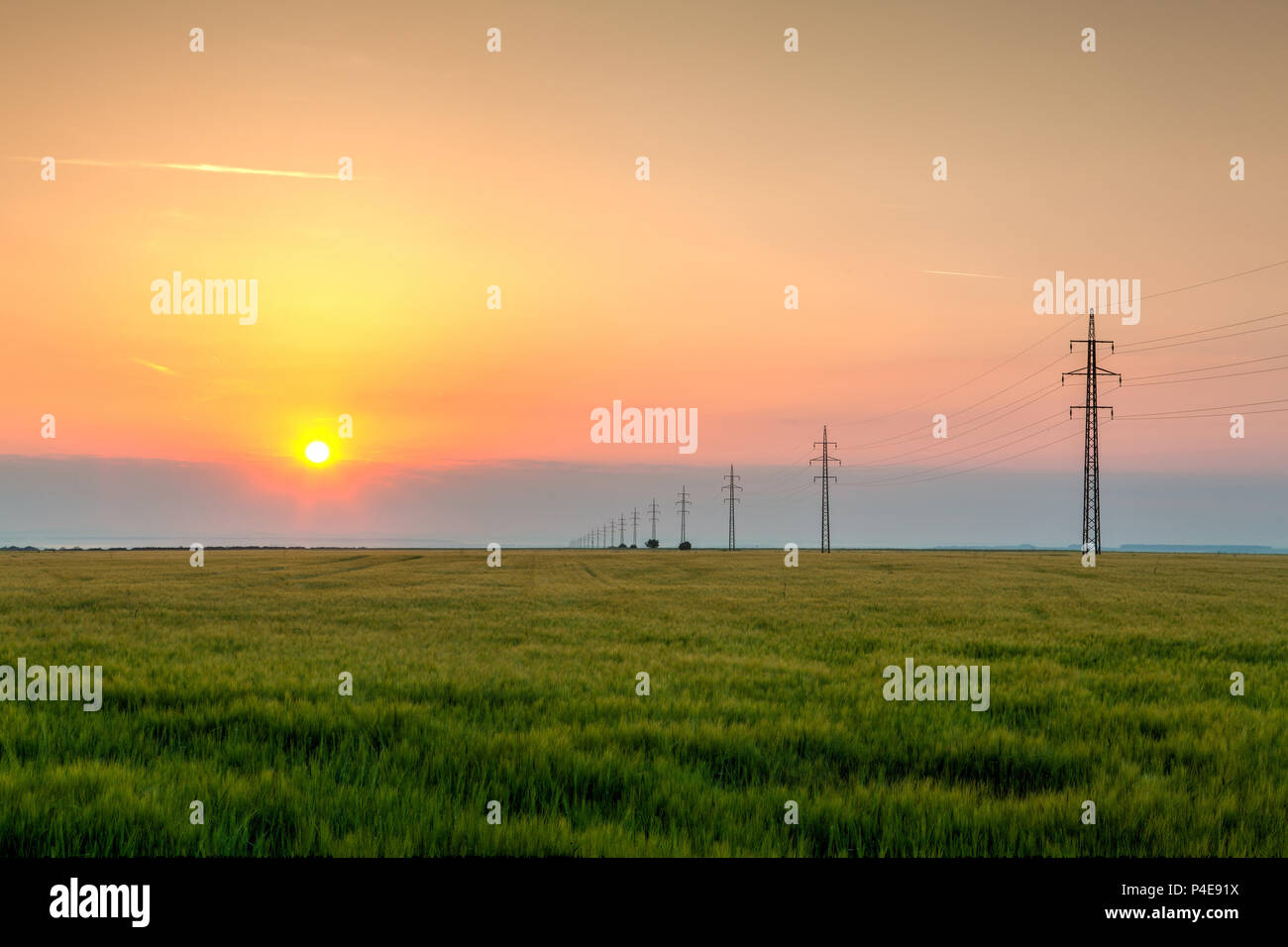 Sommer morgen Landschaft mit Weizenfeld im zentralen Hochland von Böhmen, Tschechische Republik. HDR-Bild Stockfoto