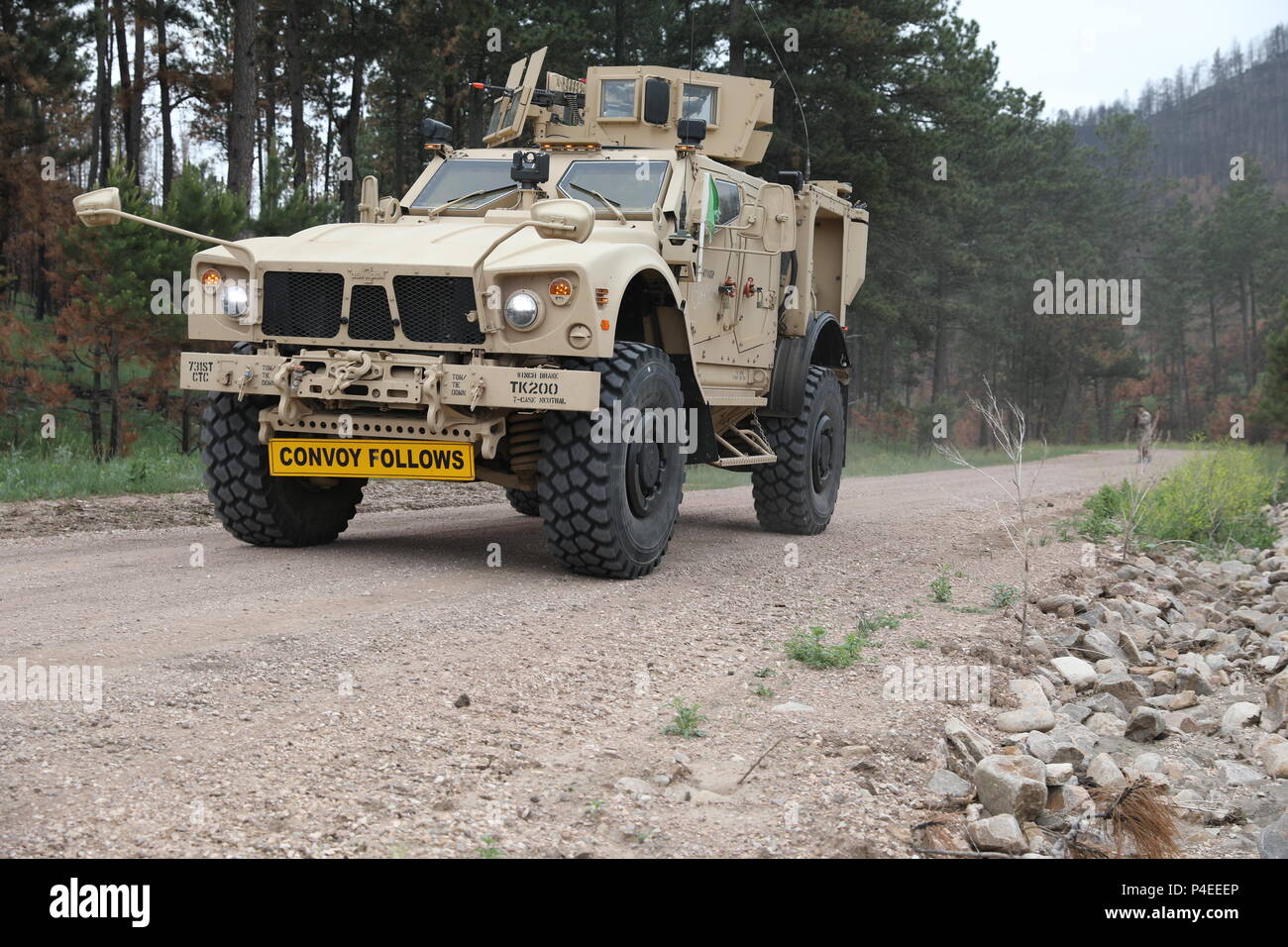 Us-Soldaten des 731St Transport Unternehmen, Kansas Army National Guard, zurück Brand während einer Messe Unfallversicherung Schulungsveranstaltung zur Unterstützung der Goldenen Coyote, Custer State Park, S.D., 16. Juni 2018. Die goldenen Coyote Übung ist eine dreiphasige, Szenario-driven Übung in den Black Hills von South Dakota und Wyoming, mit dem Kommandanten auf der Mission wesentliche Anforderungen der Aufgabe, Krieger Aufgaben und Übungen zu konzentrieren. (U.S. Armee Foto von Sgt. Gary Silverman) Stockfoto