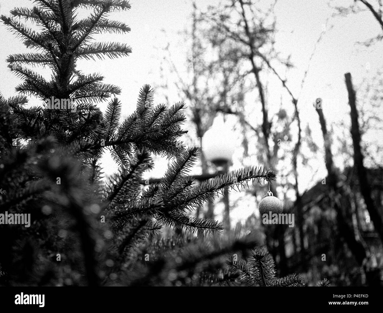 Weihnachten Spielzeug in der Feder auf dem Weihnachtsbaum vergessen, Moskau Stockfoto