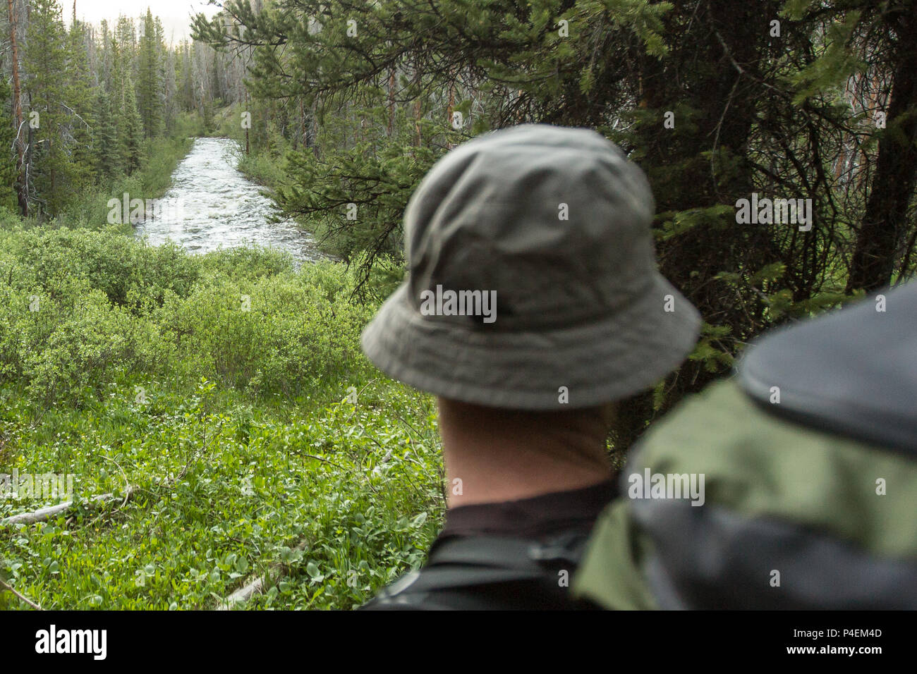Ansicht der Rückseite ein Wanderer auf der Suche an einem Fluss, Wyoming, Amerika, USA Stockfoto