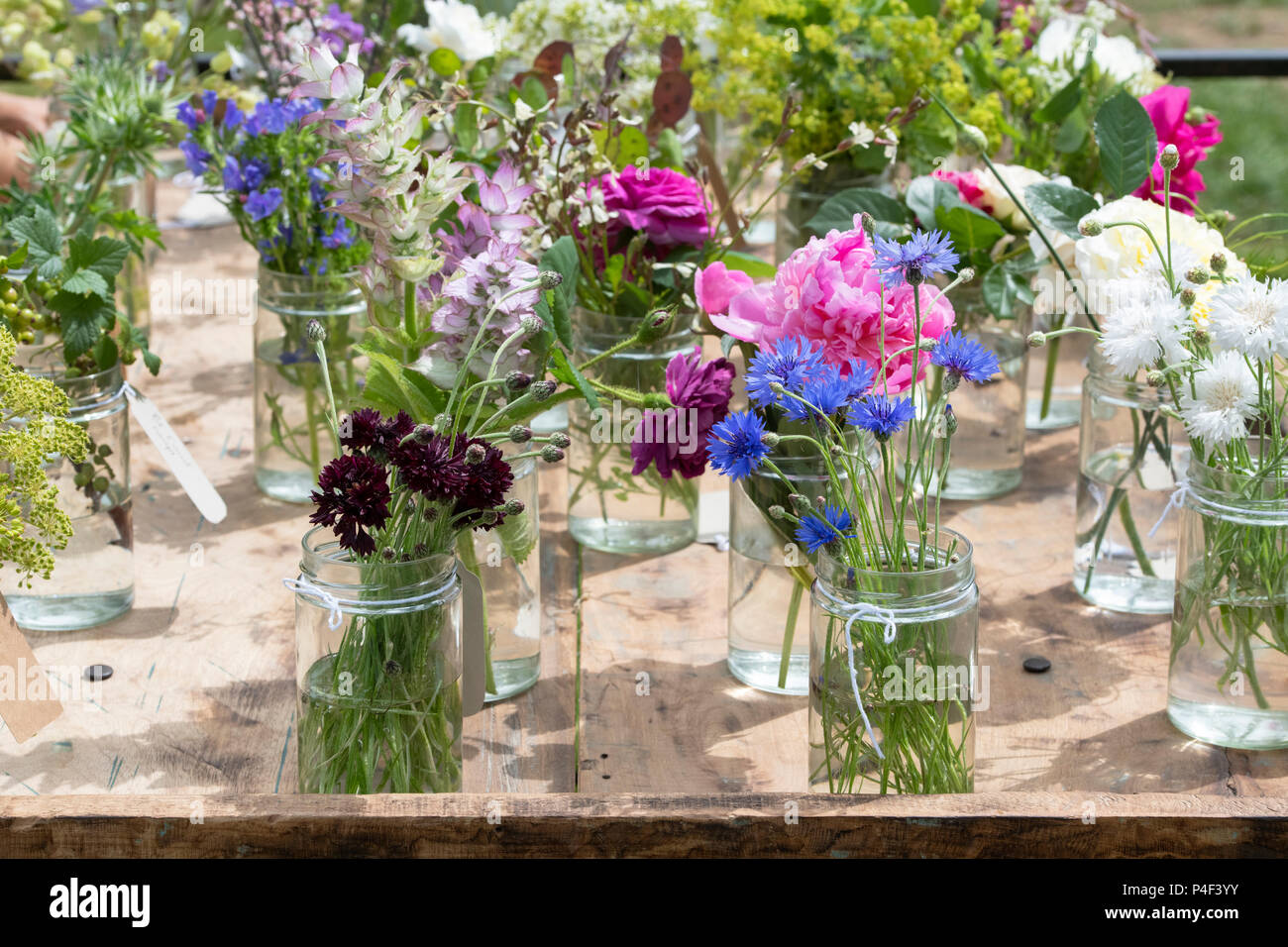 Schnittblumen, die in Gläsern Anzeige an eine Blume zeigen. Großbritannien Stockfoto