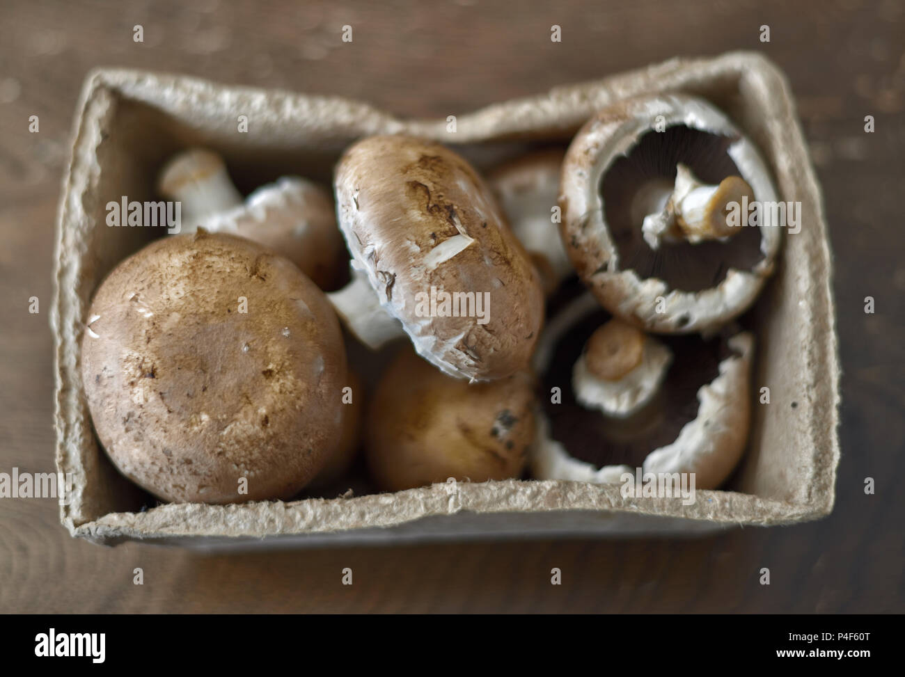 Freah organische Kastanie Pilze Stockfoto