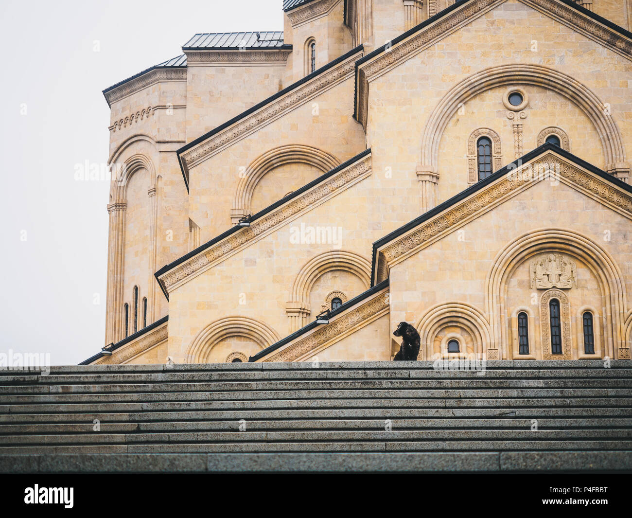 Malerischer Blick auf Hund sitzen auf Schritte und Heiligen triniti Kathedrale von Tbilisi hinter Stockfoto