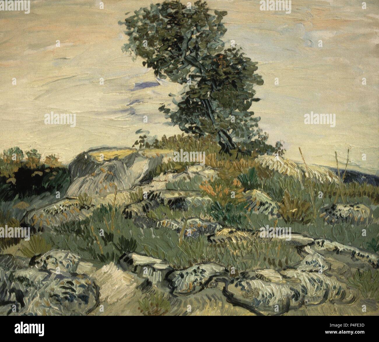 "Der Felsen", 1888, Öl auf Leinwand, 54,9 x 65,7 cm. Autor: Vincent van Gogh (1853-1890). Lage: das Museum der feinen künste, Houston - Texas. Auch als: ROCAS bekannt. Stockfoto