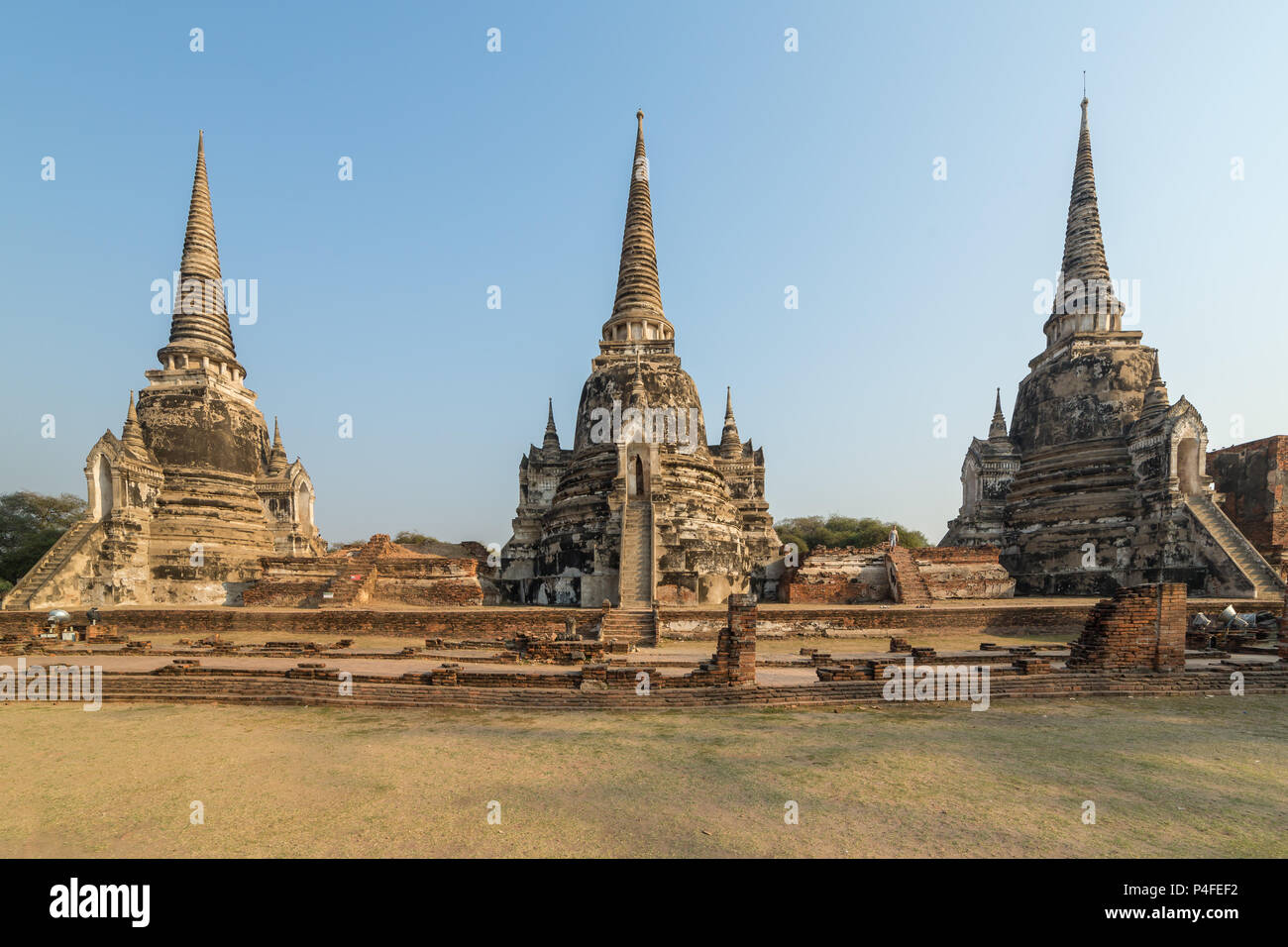Tempel Wat Phra Si Sanphet in Ayutthaya historischen Park, Thailand Stockfoto