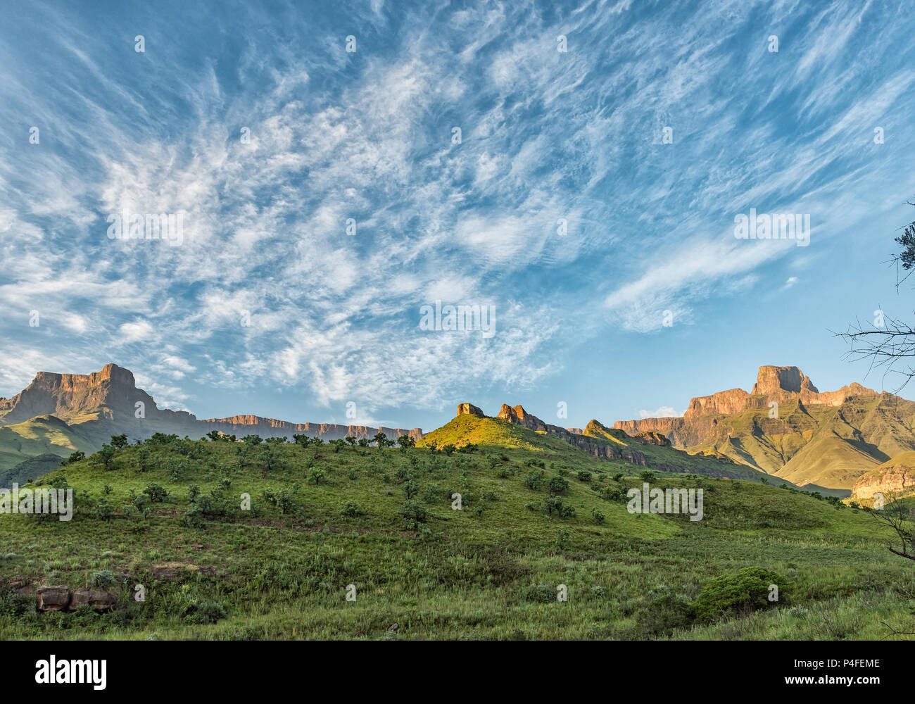 Der Blick aus dem Tugela Gorge Wanderweg in der Kwazulu-Natal Drakensberge Südafrikas. Das Amphitheater und die Policemans Helm sind sichtbar Stockfoto