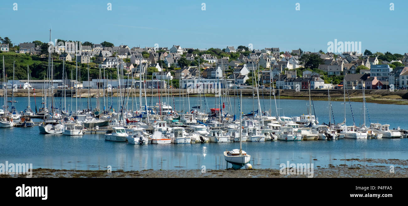 Boote gebunden bei Ebbe in Camaret-sur-Mer, Frankreich, Stockfoto