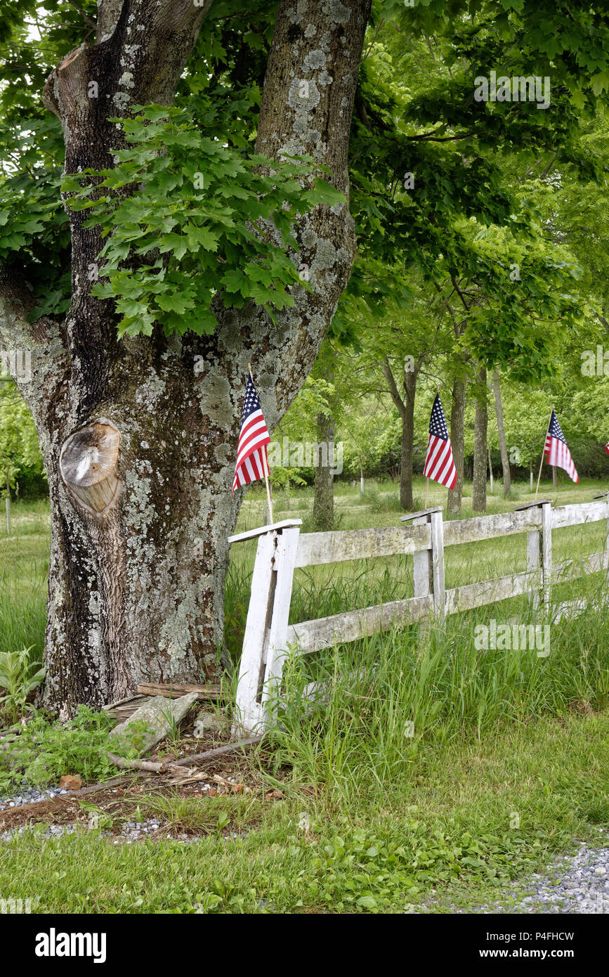 Rustikale American Flag display entlang einer Farm Lane Zaun für patriotische 4. Juli Urlaub. Stockfoto