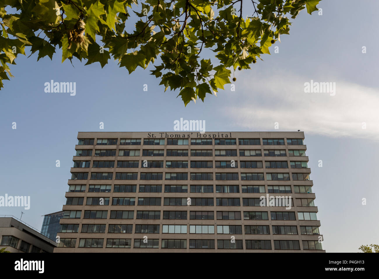 St. Thomas Hospital, London Stockfoto