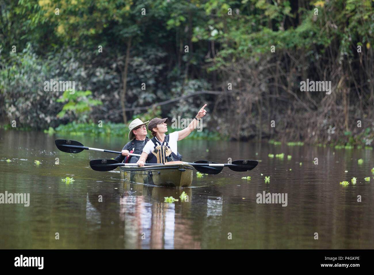 Lindblad Expeditions Gäste Kajakfahren in Amazon National Park, Loreto, Peru Stockfoto