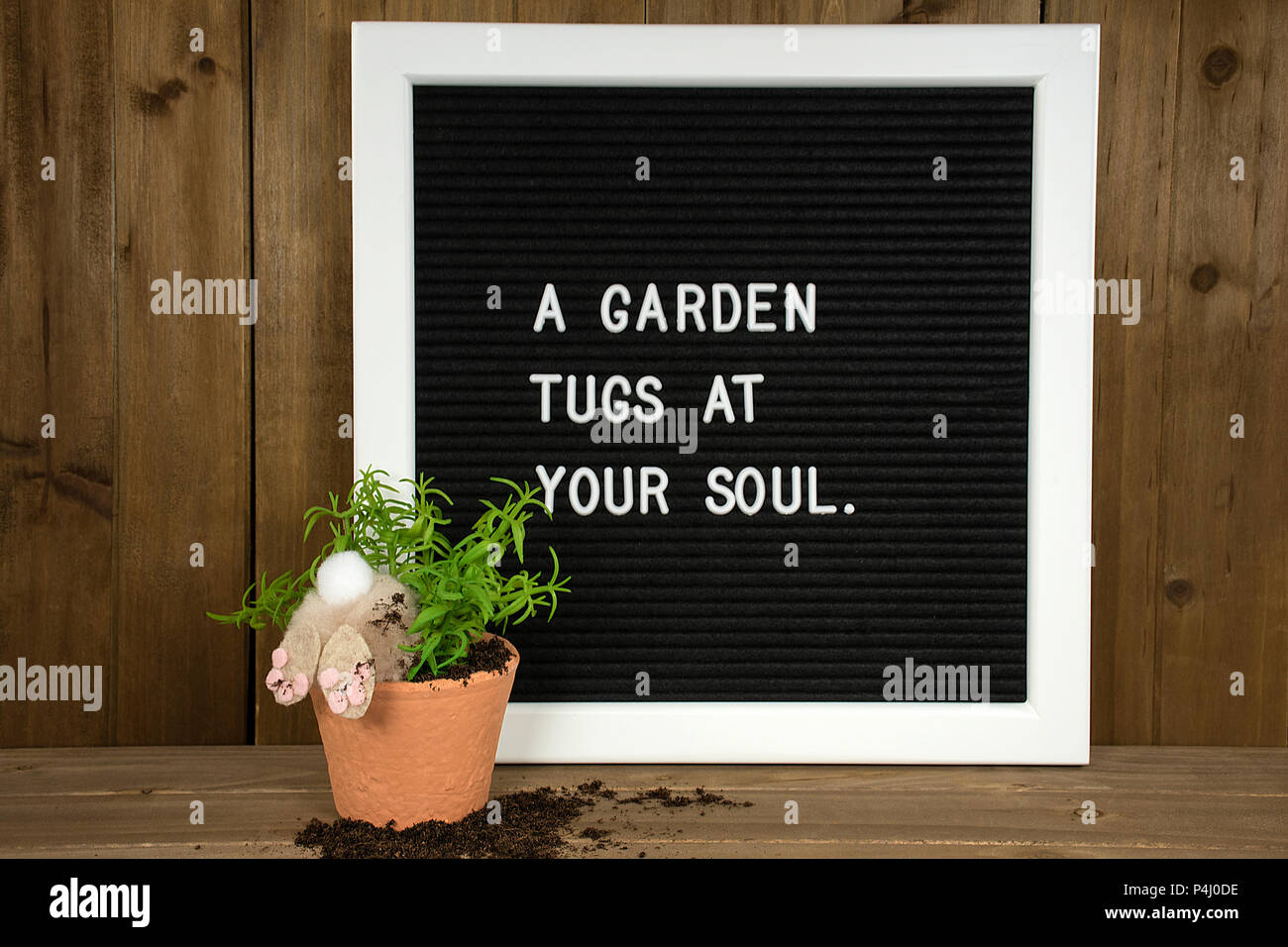 Inspirational Garten Angebot für Message Board mit Bunny in Topfpflanze und Schmutz auf Holz Stockfoto