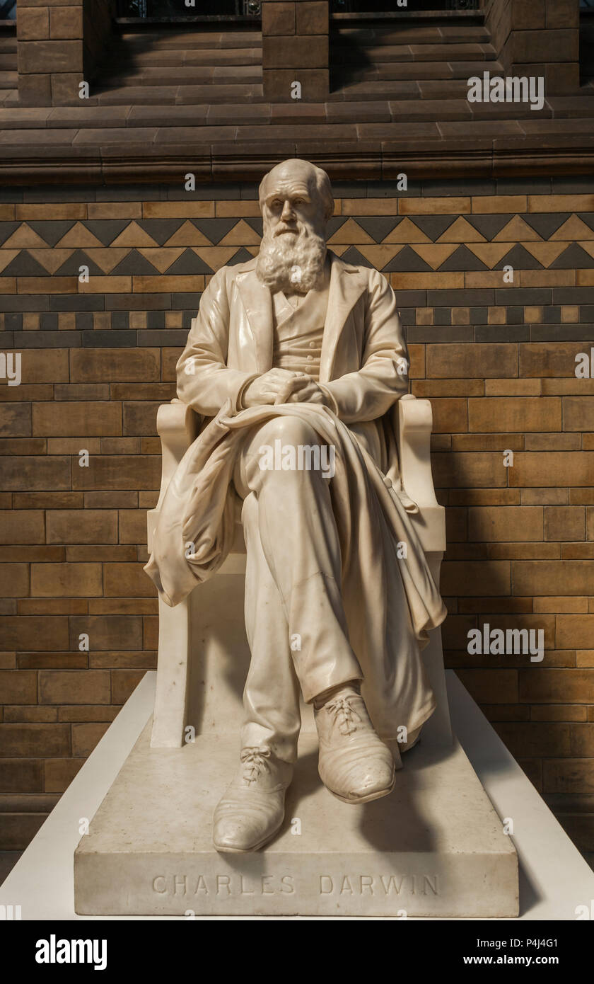 Charles Darwin Statue im Natural History Museum Stockfoto