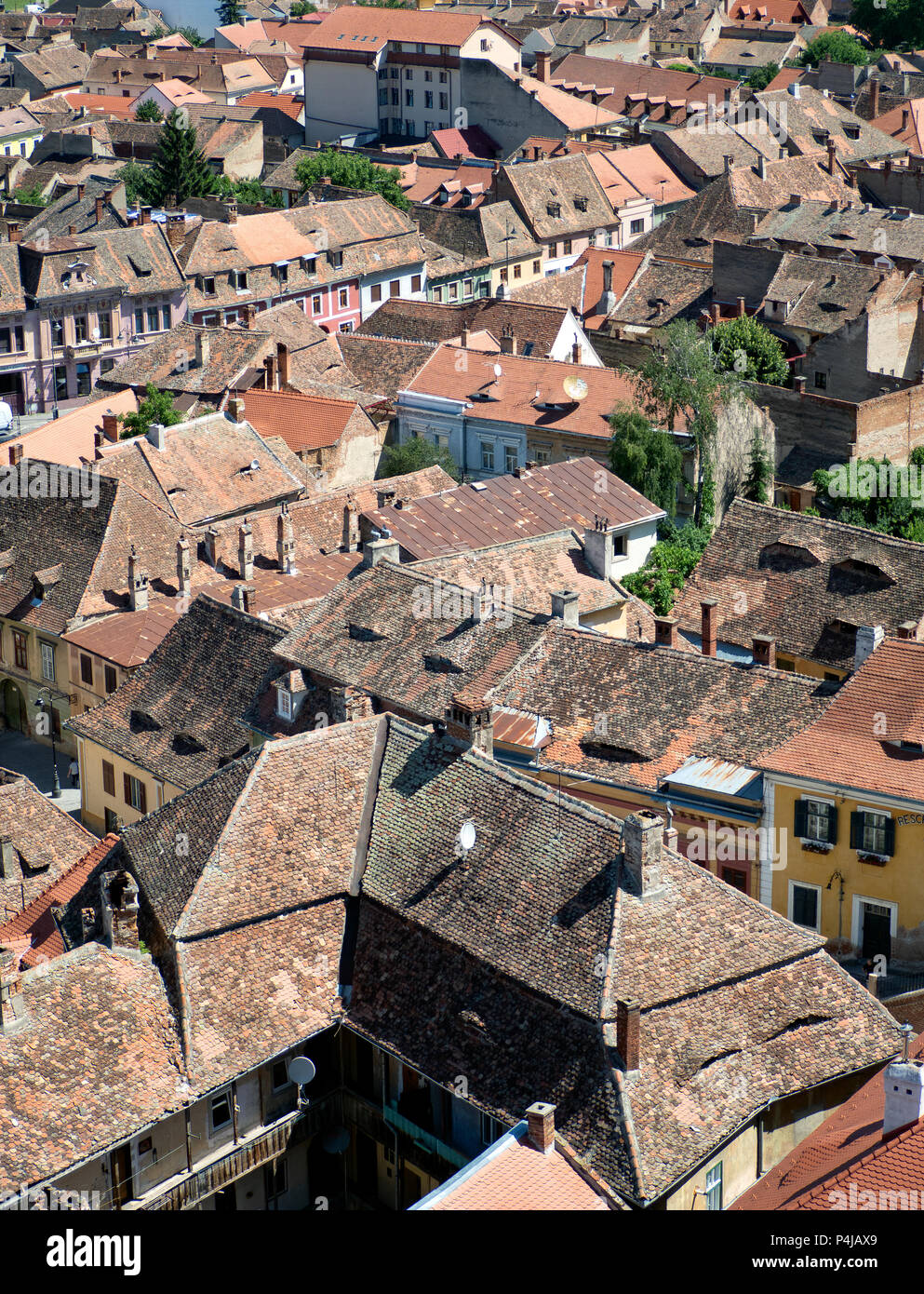 Die Dächer der Altstadt von Sibiu, Rumänien Stockfoto