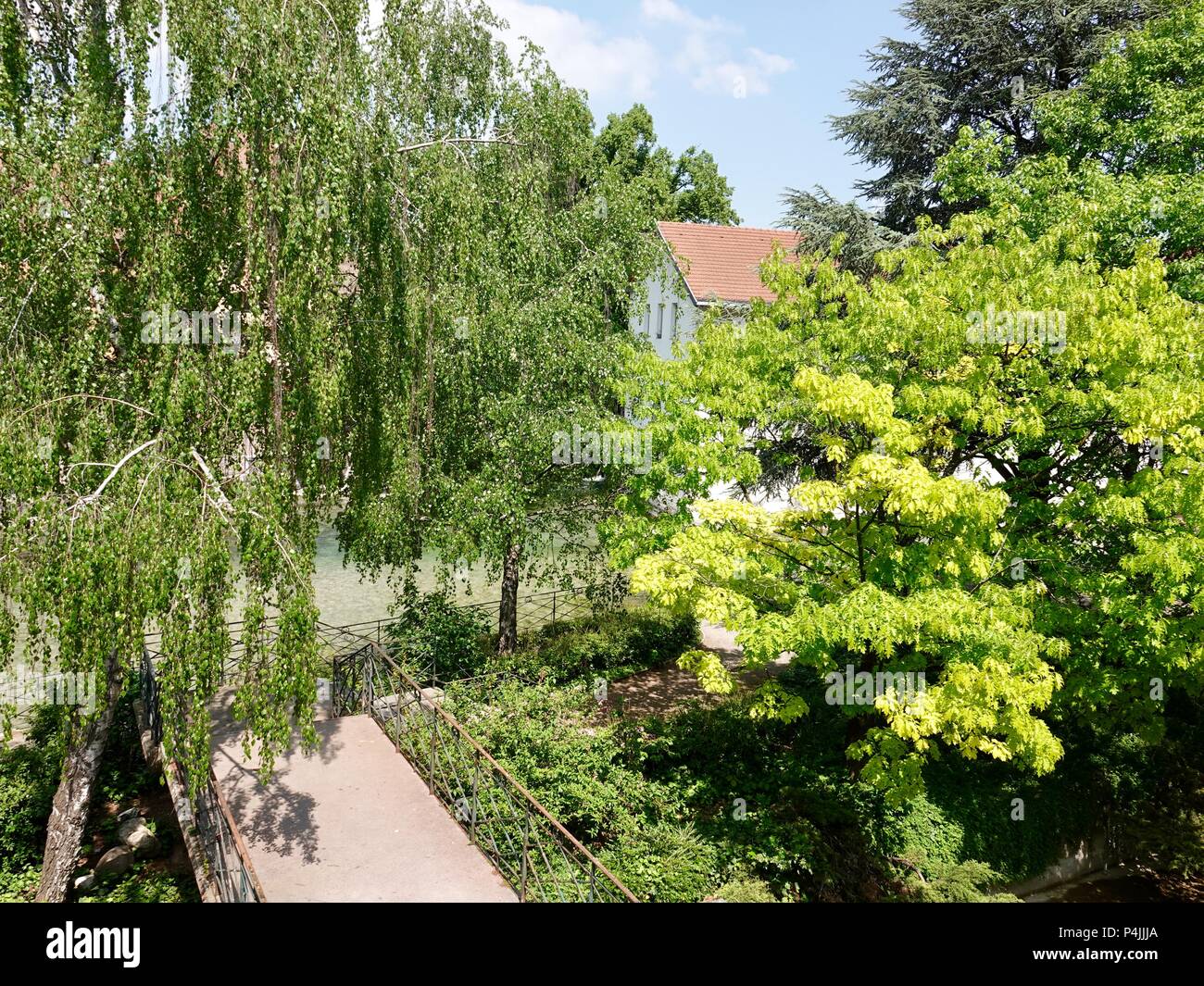 Durch die üppigen Laub auf die thiou Fluss, im Frühjahr, Annecy, Frankreich Stockfoto