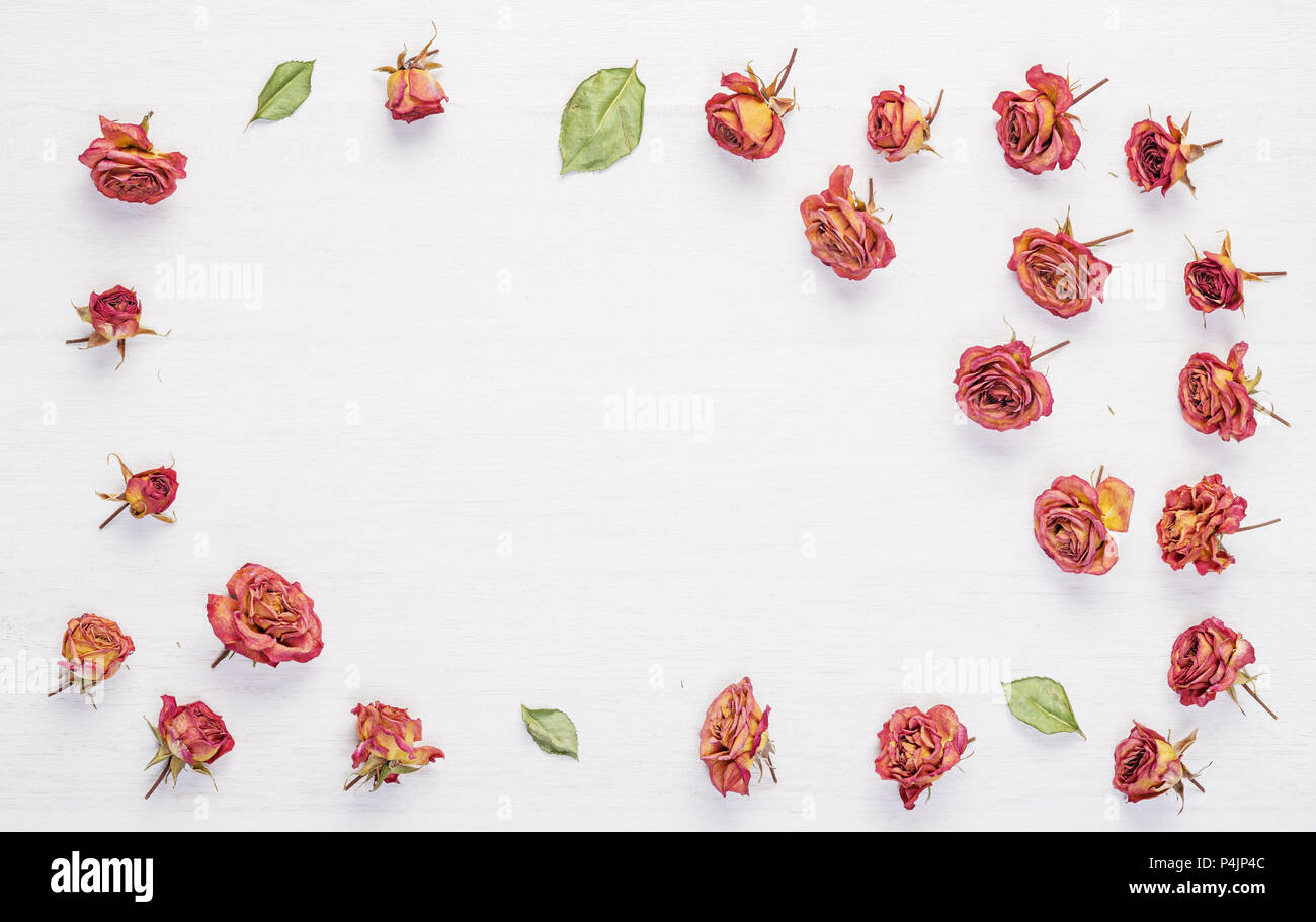 Getrocknete Rosen Blumen auf Vintage rustic weiß Schreibtisch aus Holz als Hintergrund. Ansicht von Oben. Konzept der Liebe und der romantischen und der Lauf der Zeit. Stockfoto