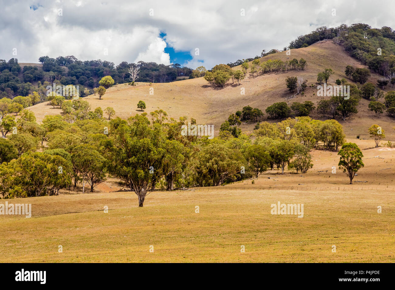 Landschaft Blick auf die Upper Hunter Valley, NSW, Australien. Stockfoto