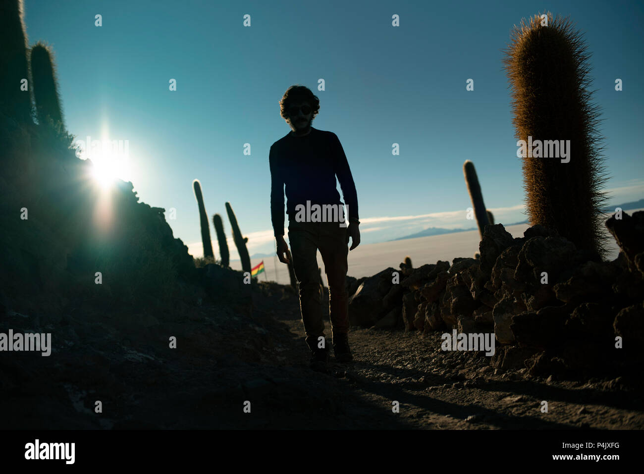 Wandern in den Sonnenuntergang in Cactus Insel - auch als Fisch Insel bekannt (Isla del Pescado) im Salar de Uyuni, Bolivien. Stockfoto