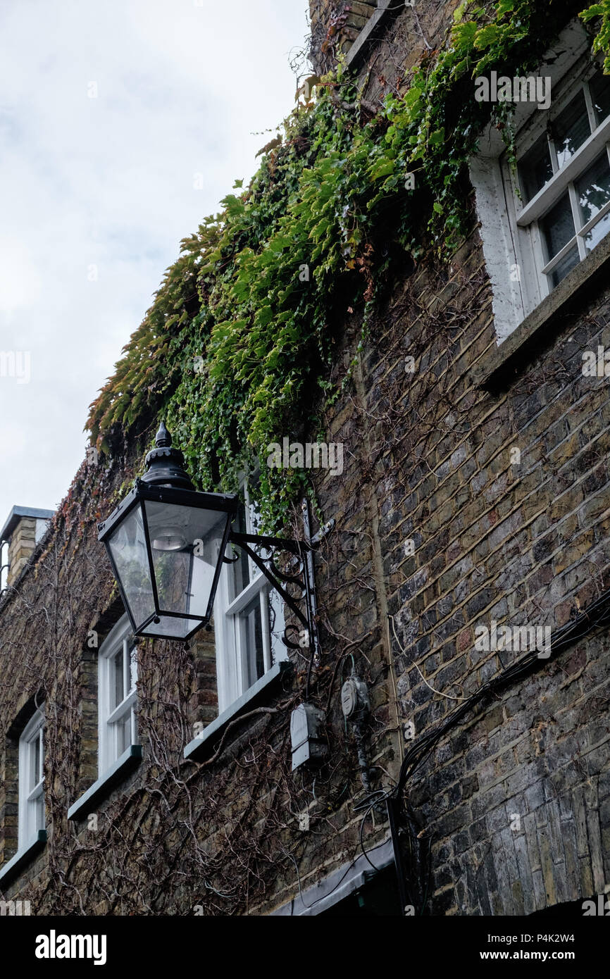 Erweiterte schwarzes Eisen retro Straßenlaterne auf Reben bedeckt Gebäude an Doughty Mews, Bloomsbury, London. Bäume, blauer Himmel, kopieren. Porträt. Stockfoto