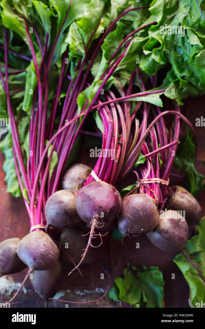 Reihe von rote Beete Stockfoto