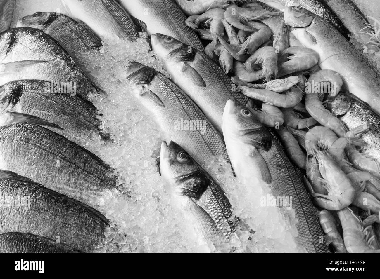 Schwarz-weiß Bild von gefrorenen Fischen und Garnelen auf Eis im Fischmarkt Stockfoto