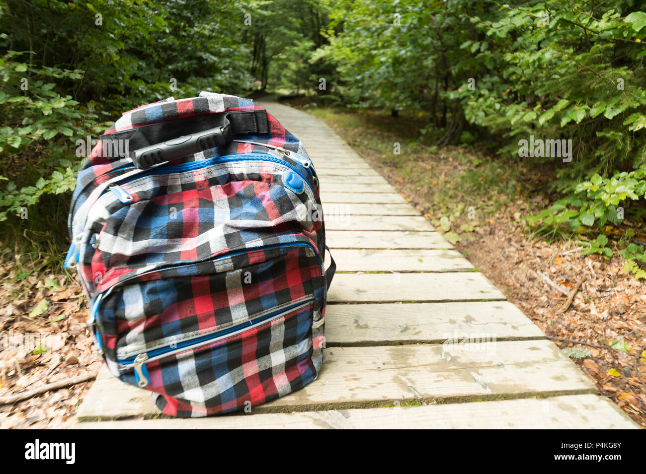 Eine gepackte karierte Rucksack steht auf einer Promenade weg. Der hölzerne Weg führt in einen Laubwald. Auf dem Rothaarsteig. Stockfoto
