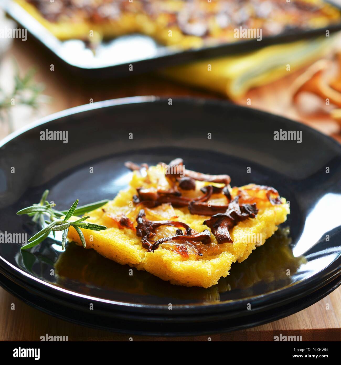 Ein Stück polenta Kuchen mit Pfifferlingen und Zwiebeln auf einem Teller vor einem Backblech Stockfoto