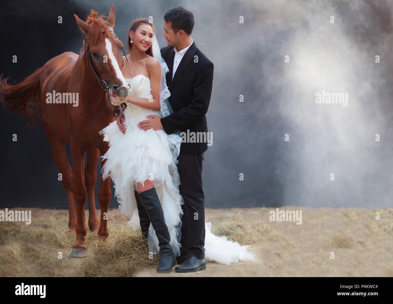 Junge jungvermählte Paar, schön schönheit Braut in der Mode weiße Braut Hochzeit Kostüm und schön pflegen ständigen durch muskulöse Mann Pferd auf Schwarz drea Stockfoto