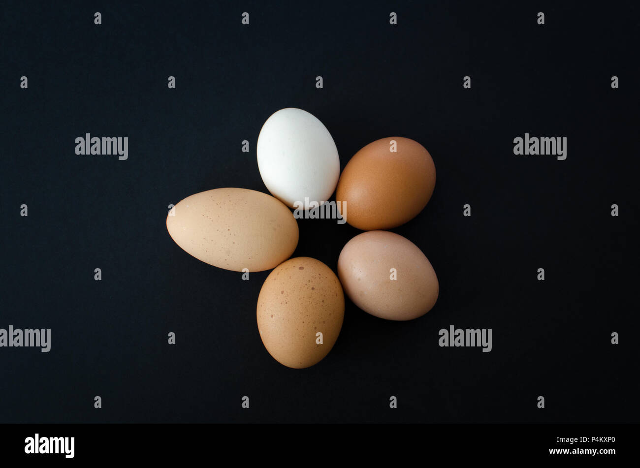 Fünf Hühner Eier in einem Kreis angeordnet, die jeweils eine andere Größe, Farbe, Form und Textur. Stockfoto
