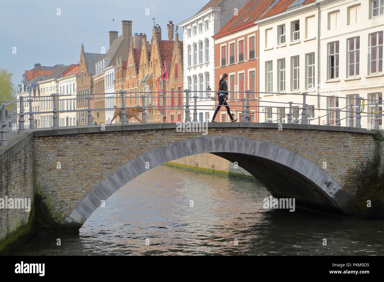 Brügge, Belgien - 20 April 2014: Der Kanal Langerei mit einer Brücke und traditionellen Fassaden im Hintergrund Stockfoto