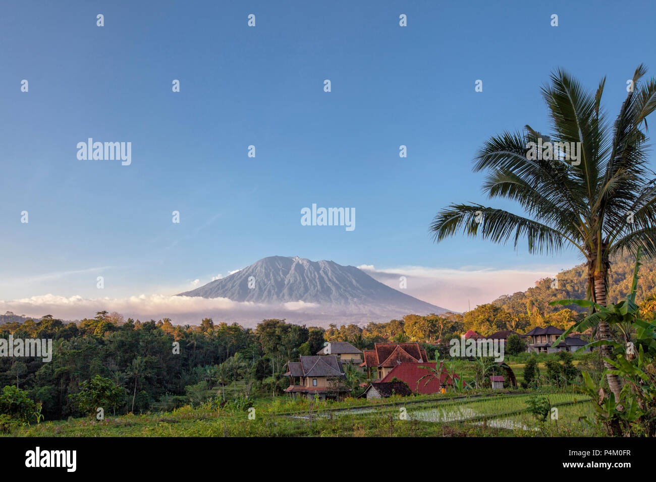 Reis-Terrassen mit Mount Agung im Hintergrund, Bali, Indonesien Stockfoto