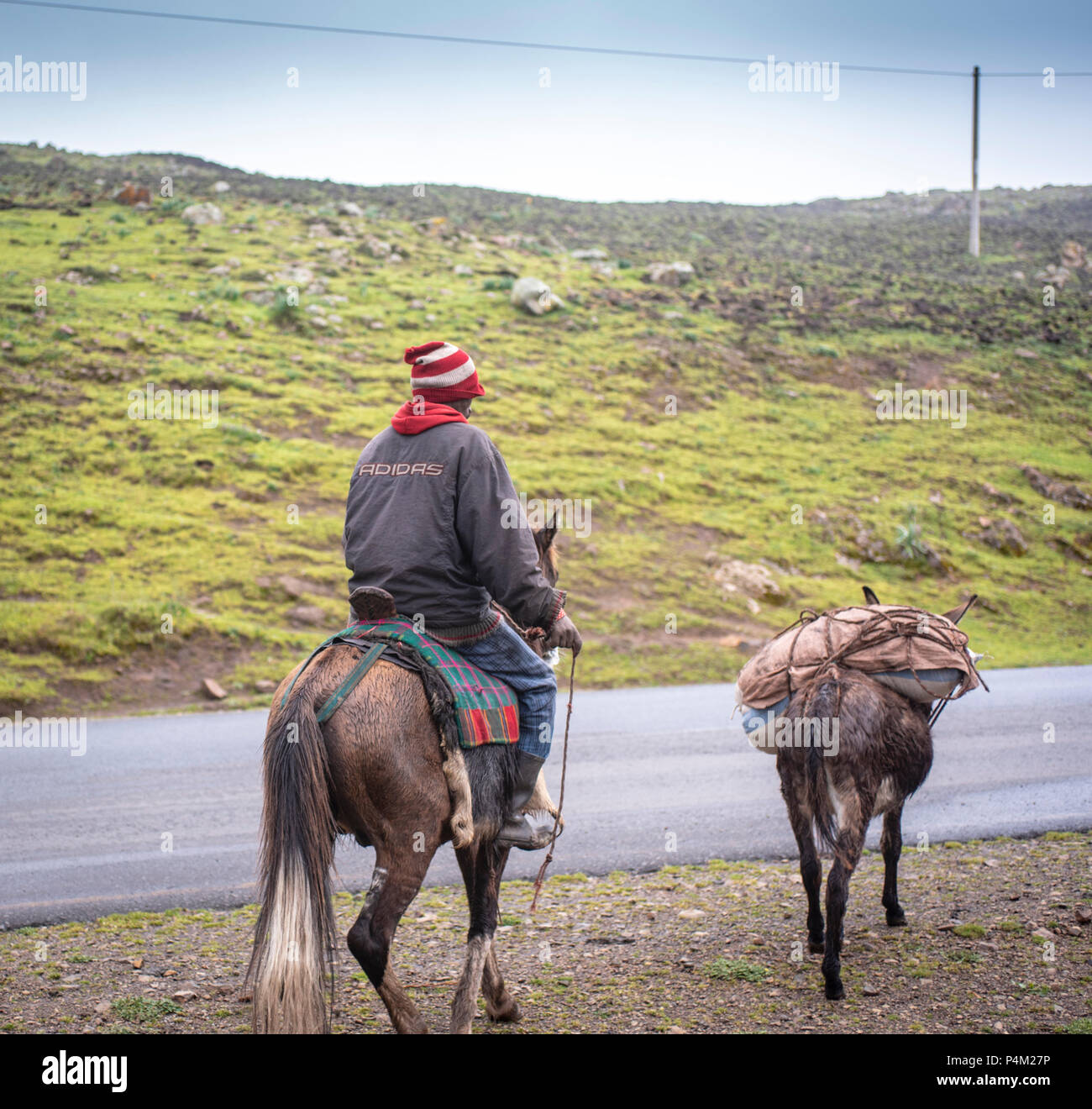 Mann auf Pferd mit Esel im Bale Mountains Nationalpark, Äthiopien Stockfoto