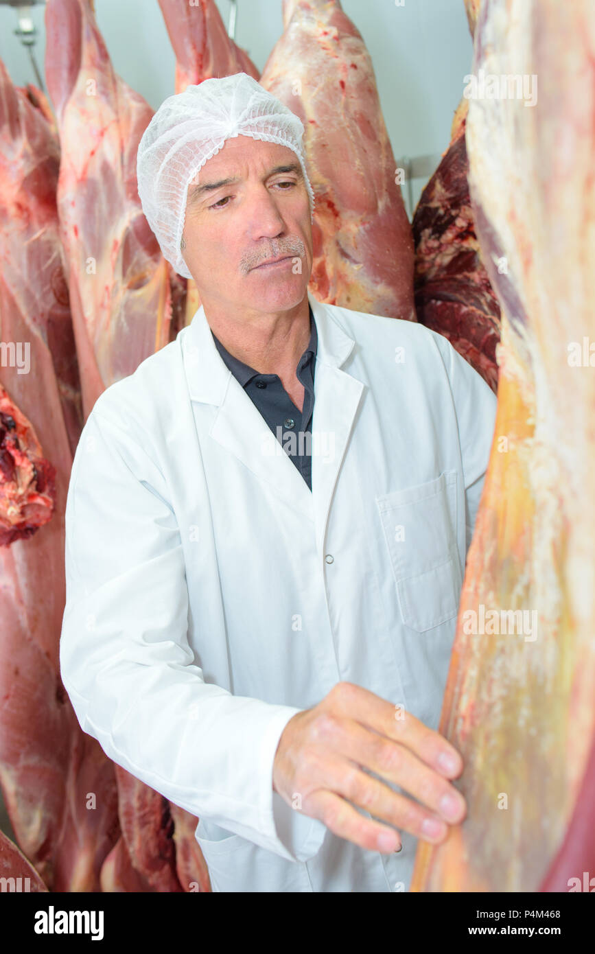 Fleisch packer Inspektion des Fleisches Stockfoto